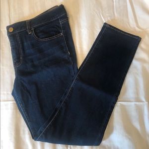 AE Dark Wash Long Jegging